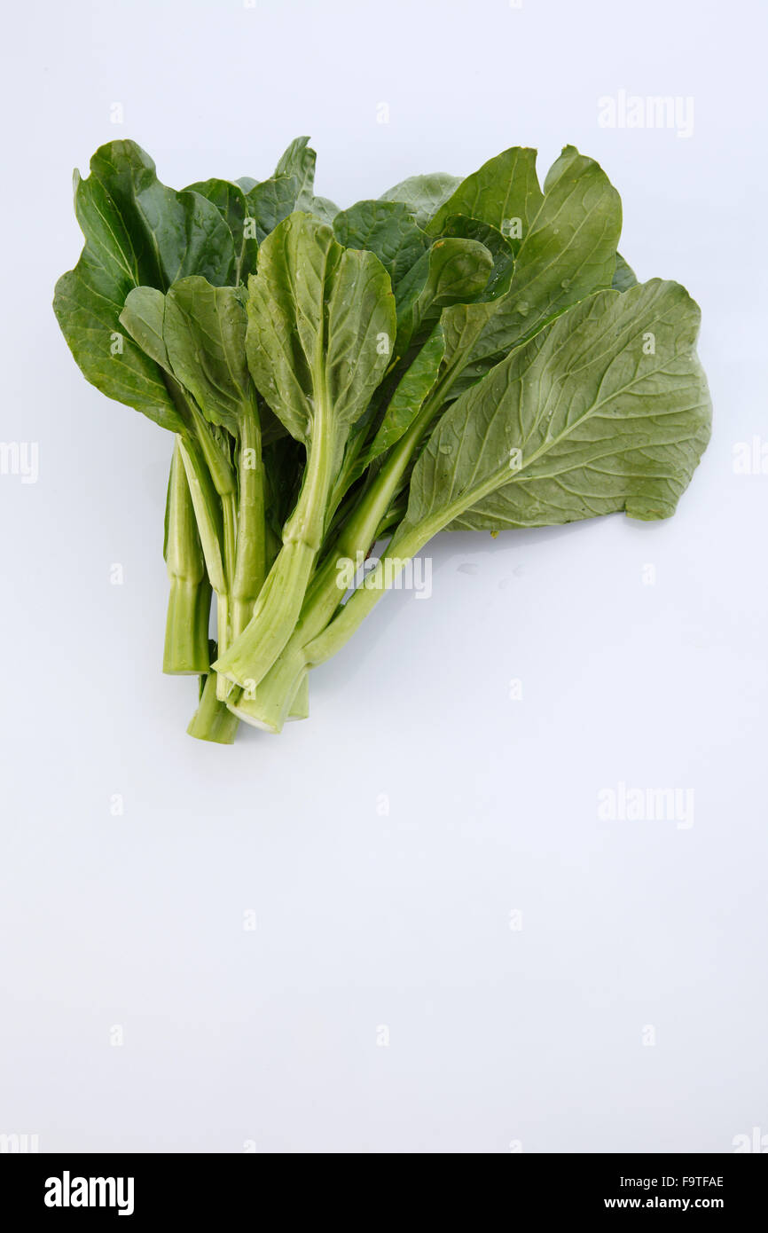 Chinese mustard green on white background Stock Photo Alamy