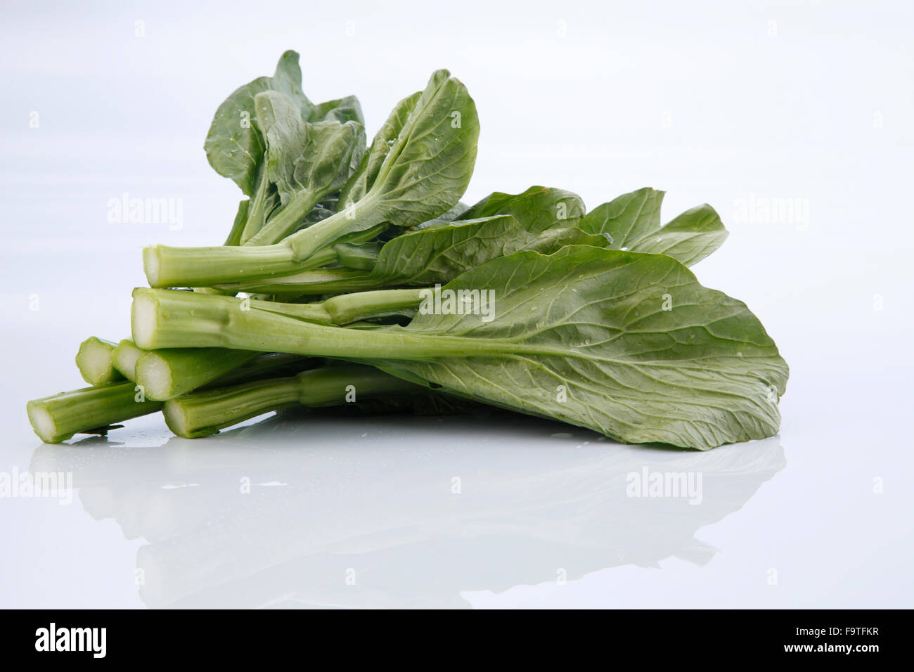 Chinese mustard green on white background Stock Photo Alamy