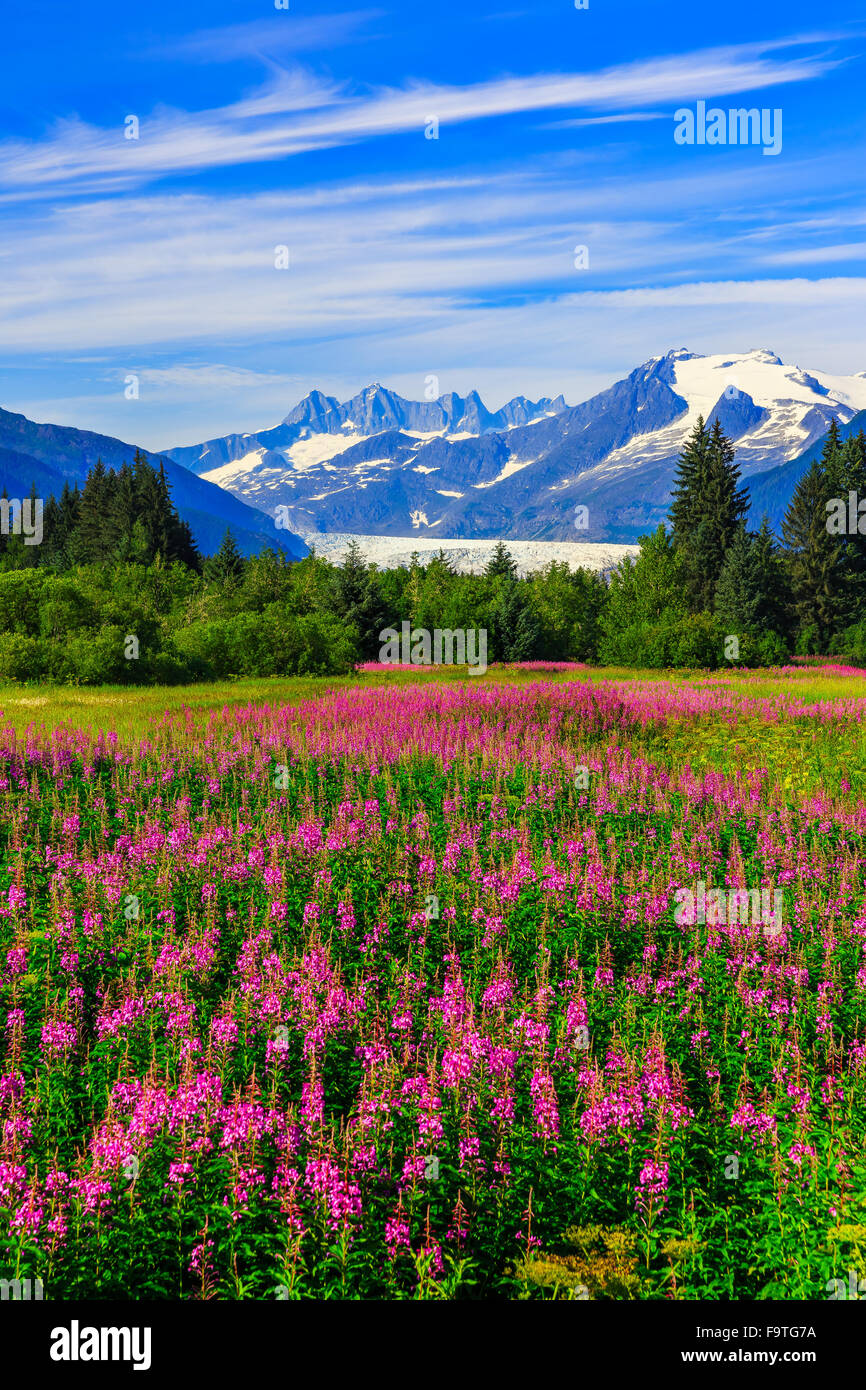 Mendenhall Glacier Alaska Hi Res Stock Photography And Images Alamy