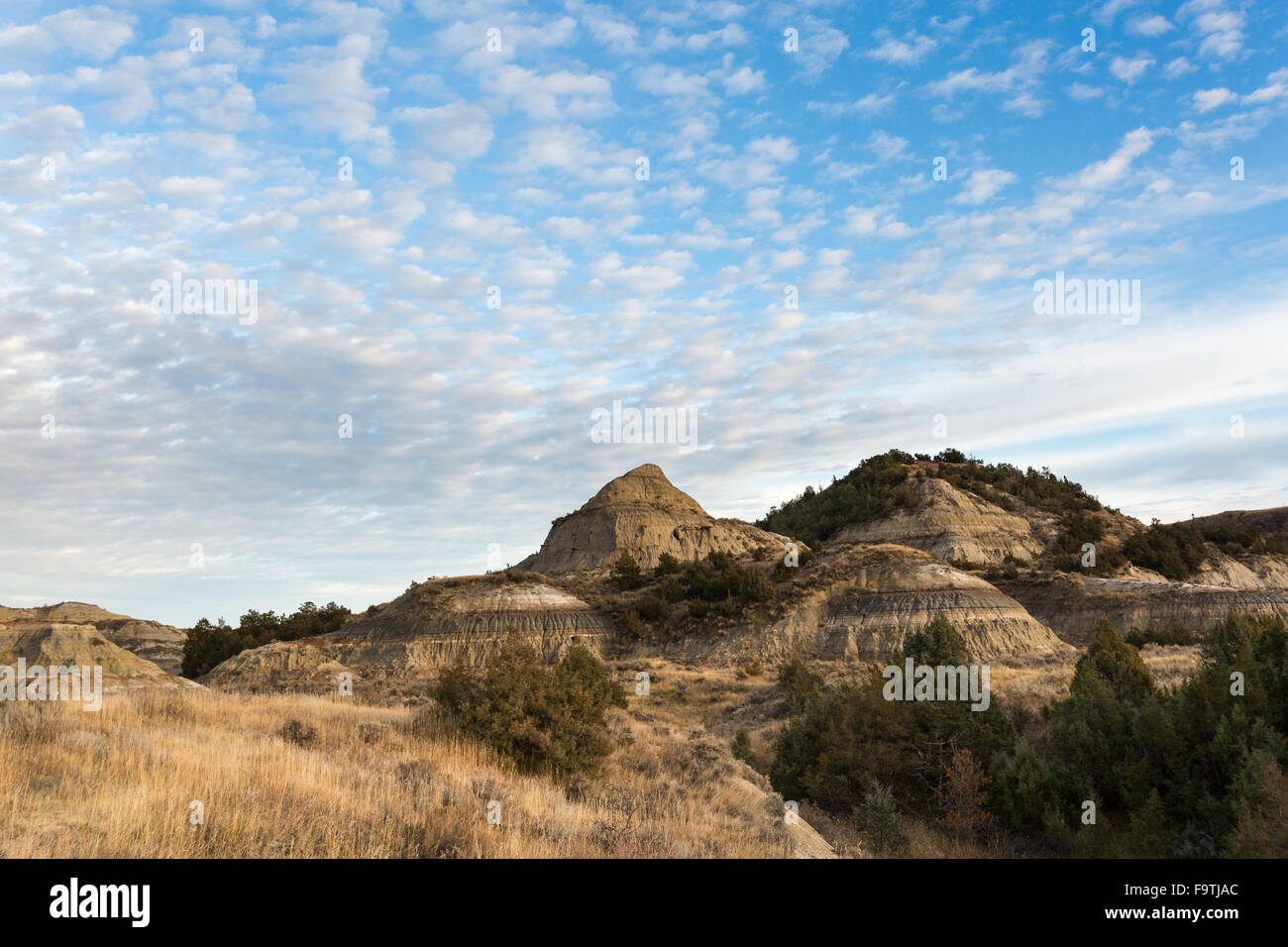 Grasslands cover the rolling hills of Theodore Roosevelt National Park