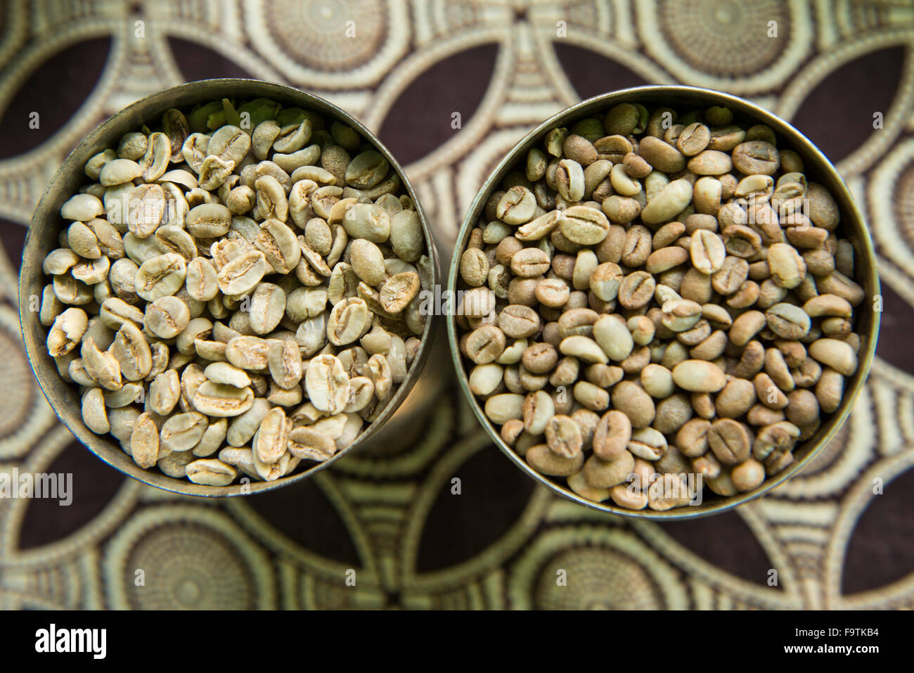 Coffee beans, Omwani Women’s Coffee Cooperative, Uganda Stock Photo Alamy