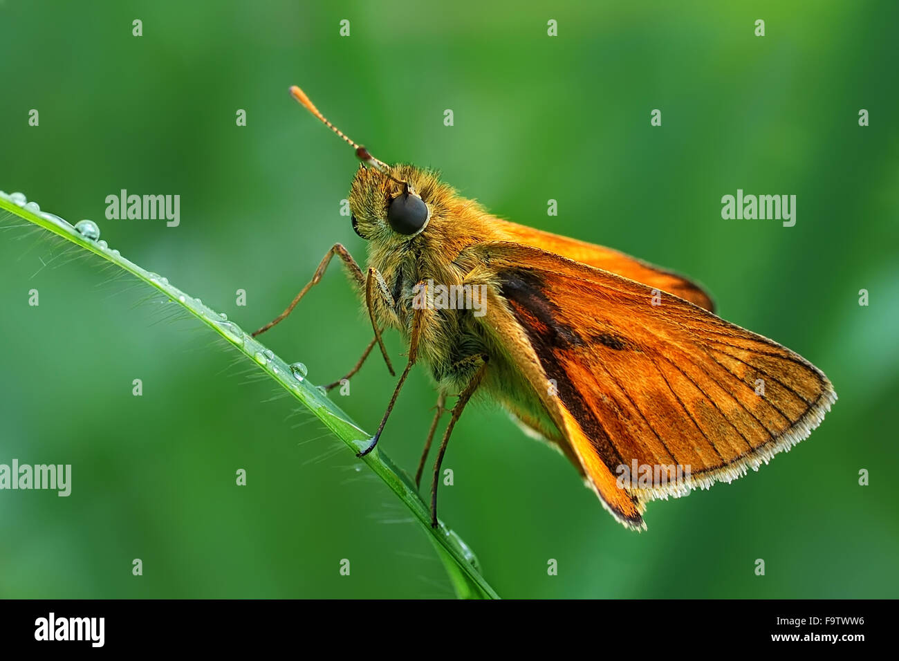 Na vy hi-res stock photography and images - Alamy