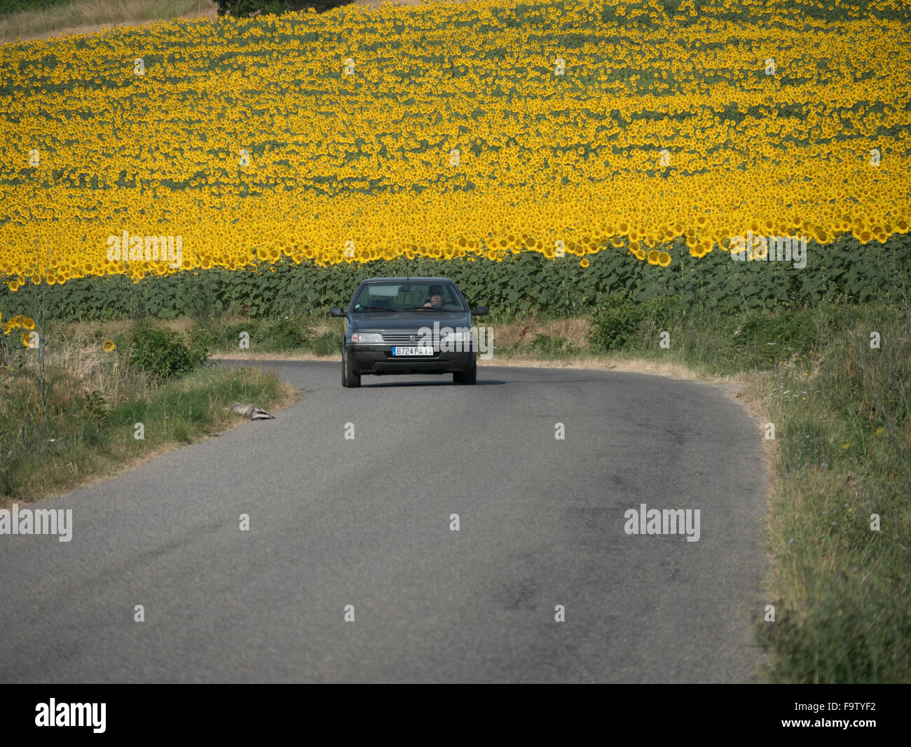 Car field road hi-res stock photography and images - Alamy