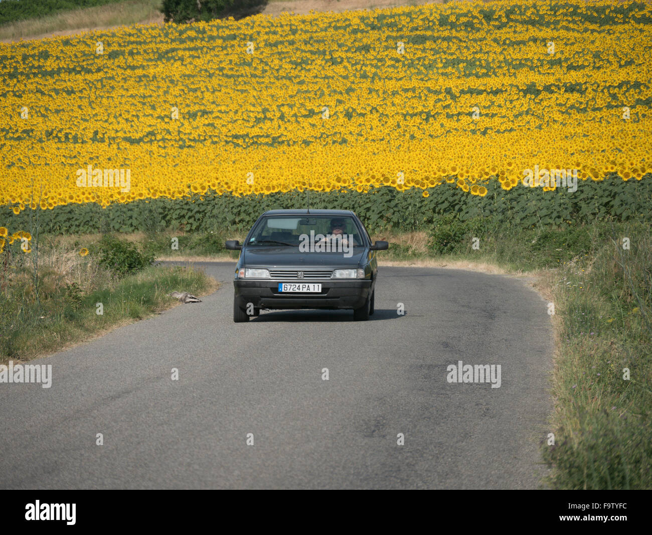 Car field road hi-res stock photography and images - Alamy