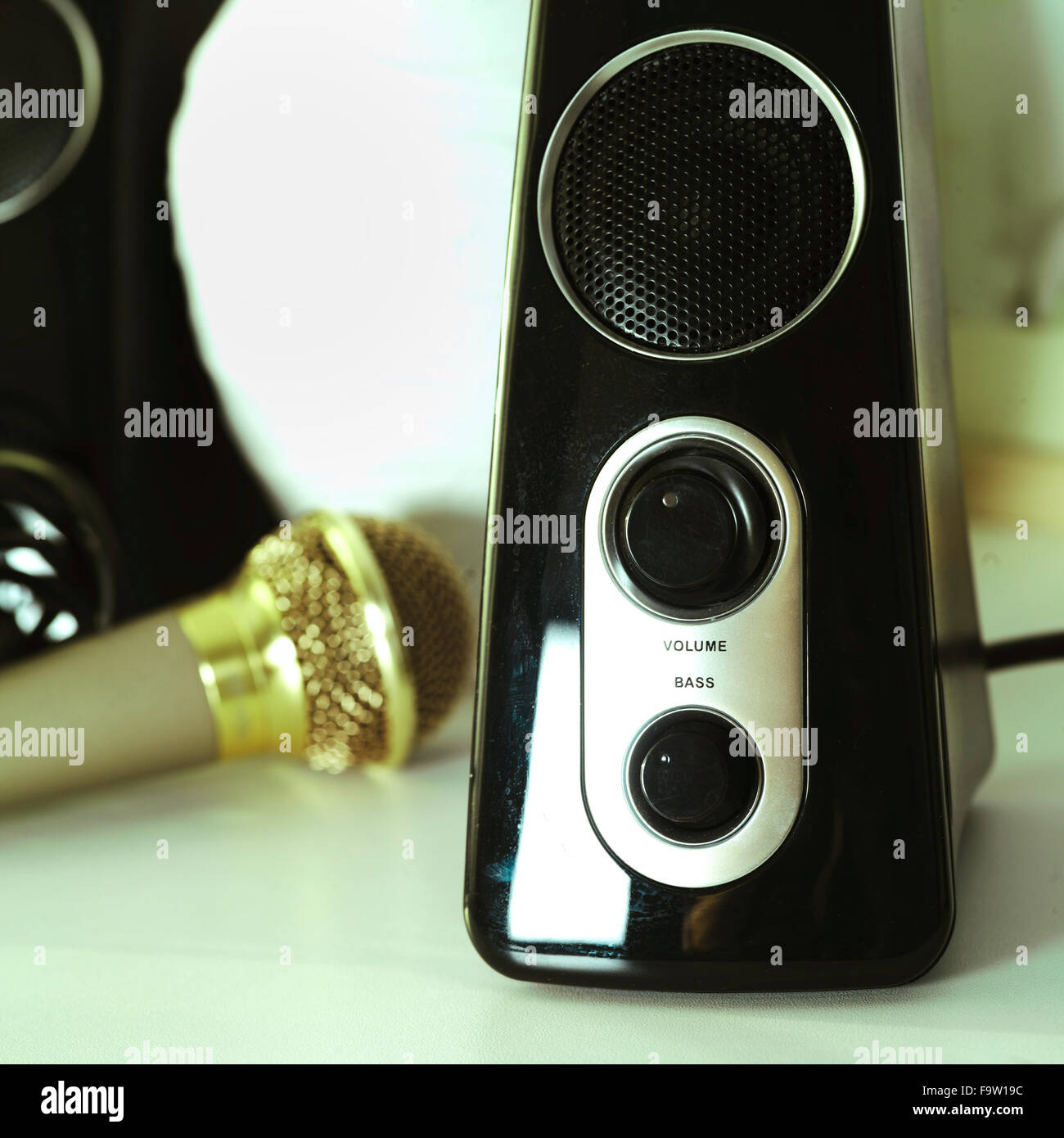 computer speakers and microphone
