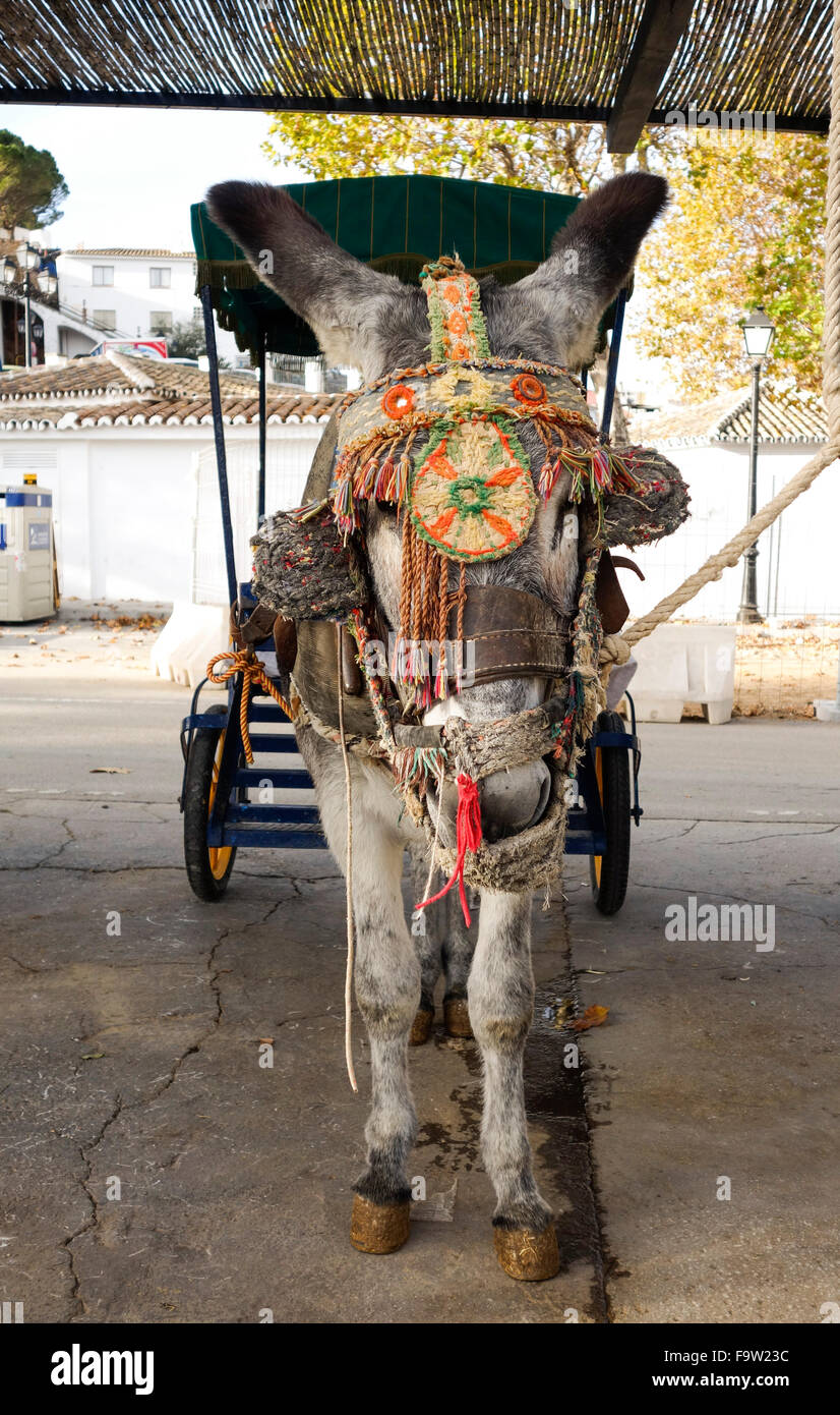 Donkey in front of cart in white washed village of Mijas Pueblo, Andalusia, Spain Stock Photo