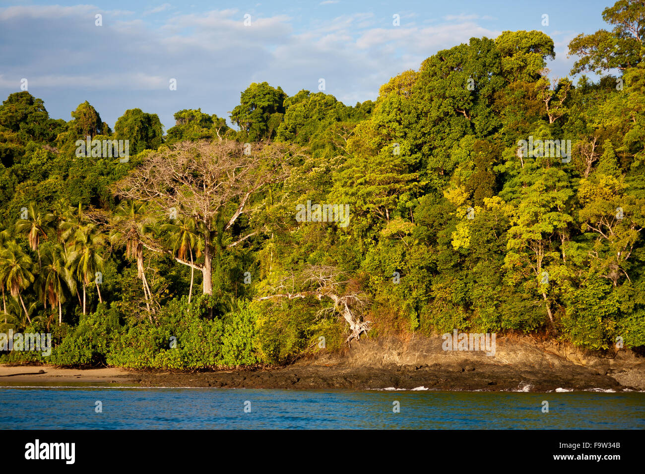 Parque nacional de isla coiba hi-res stock photography and images - Alamy