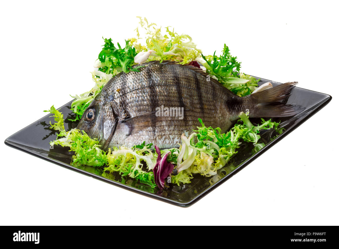 Raw Tilapia studio macro shoot Stock Photo Alamy