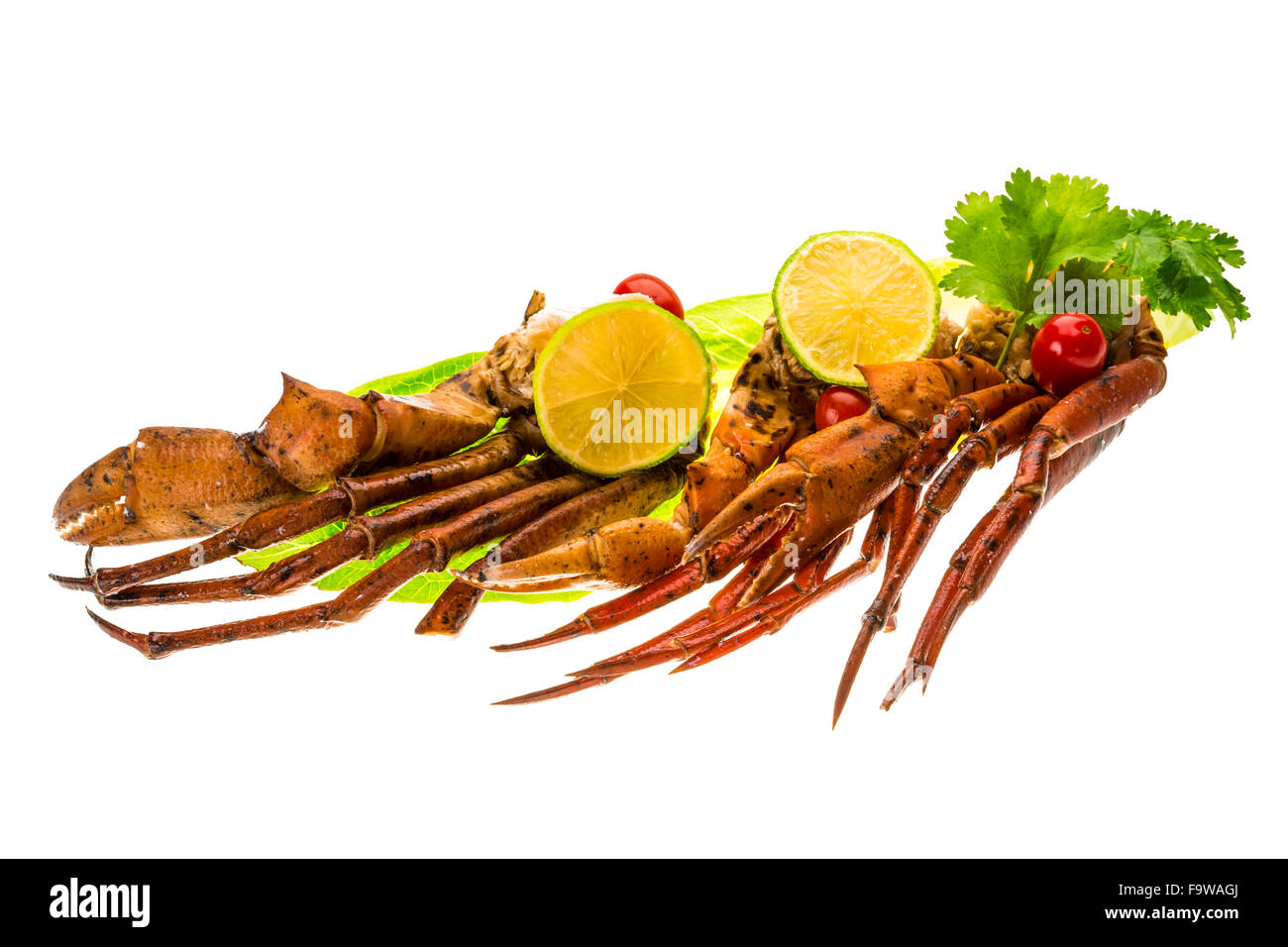 Crab legs studio macro shoot Stock Photo Alamy