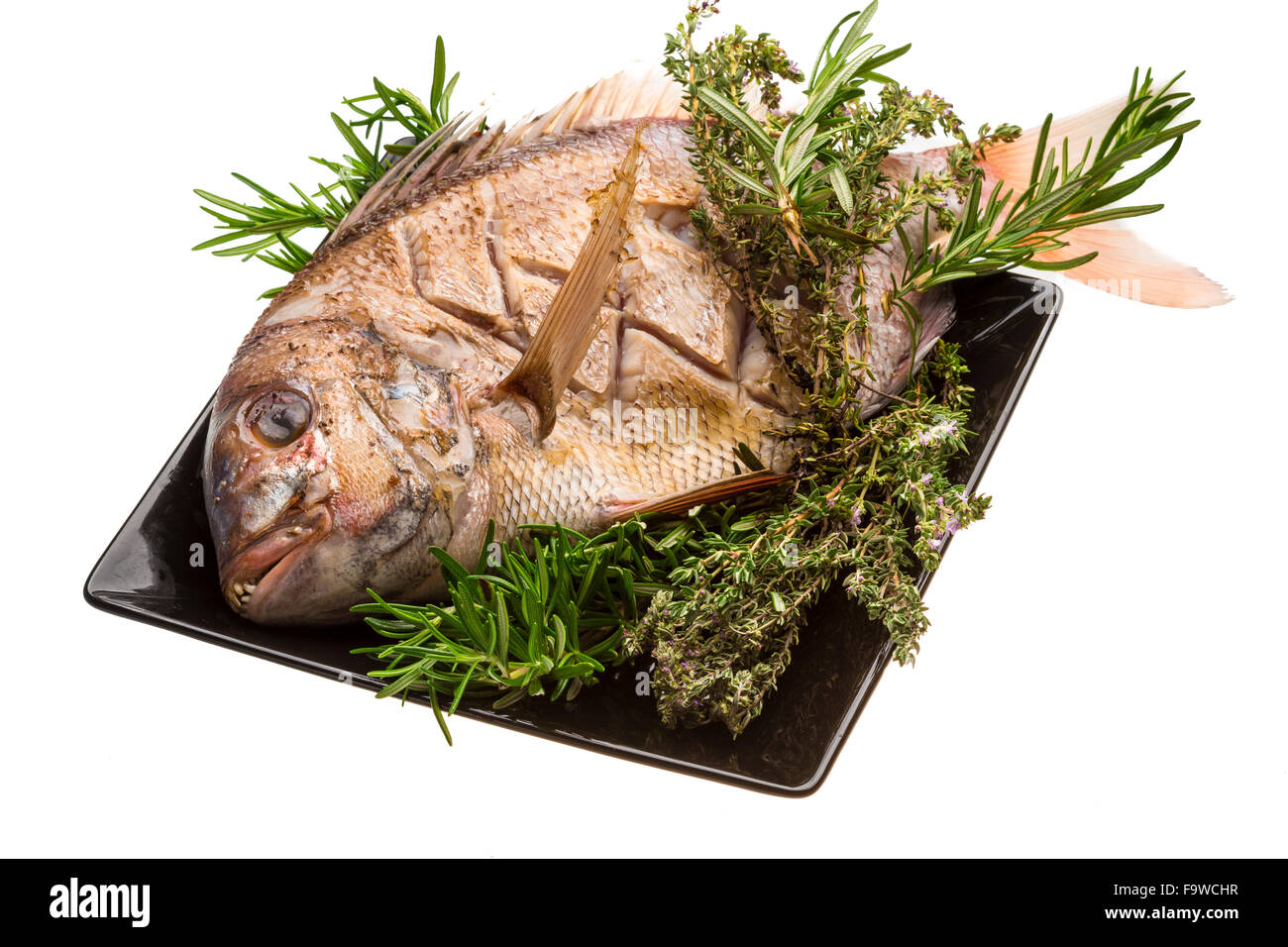 Grilled sea perch Stock Photo