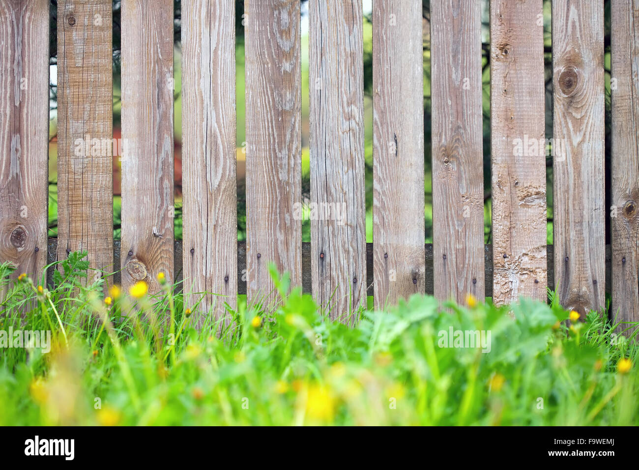 wooden fence background with green grass border Stock Photo - Alamy