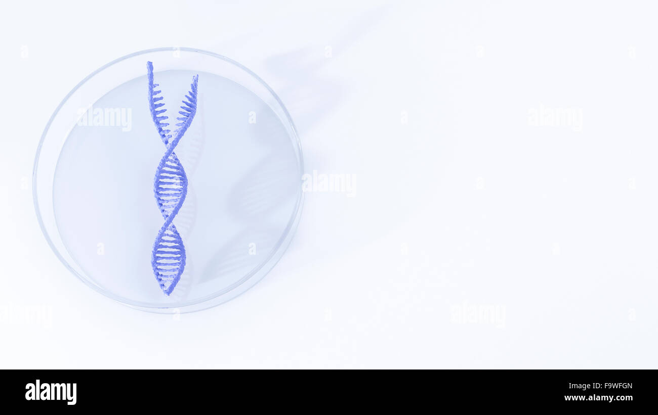 Separated DNA in petri dish, illustration Stock Photo