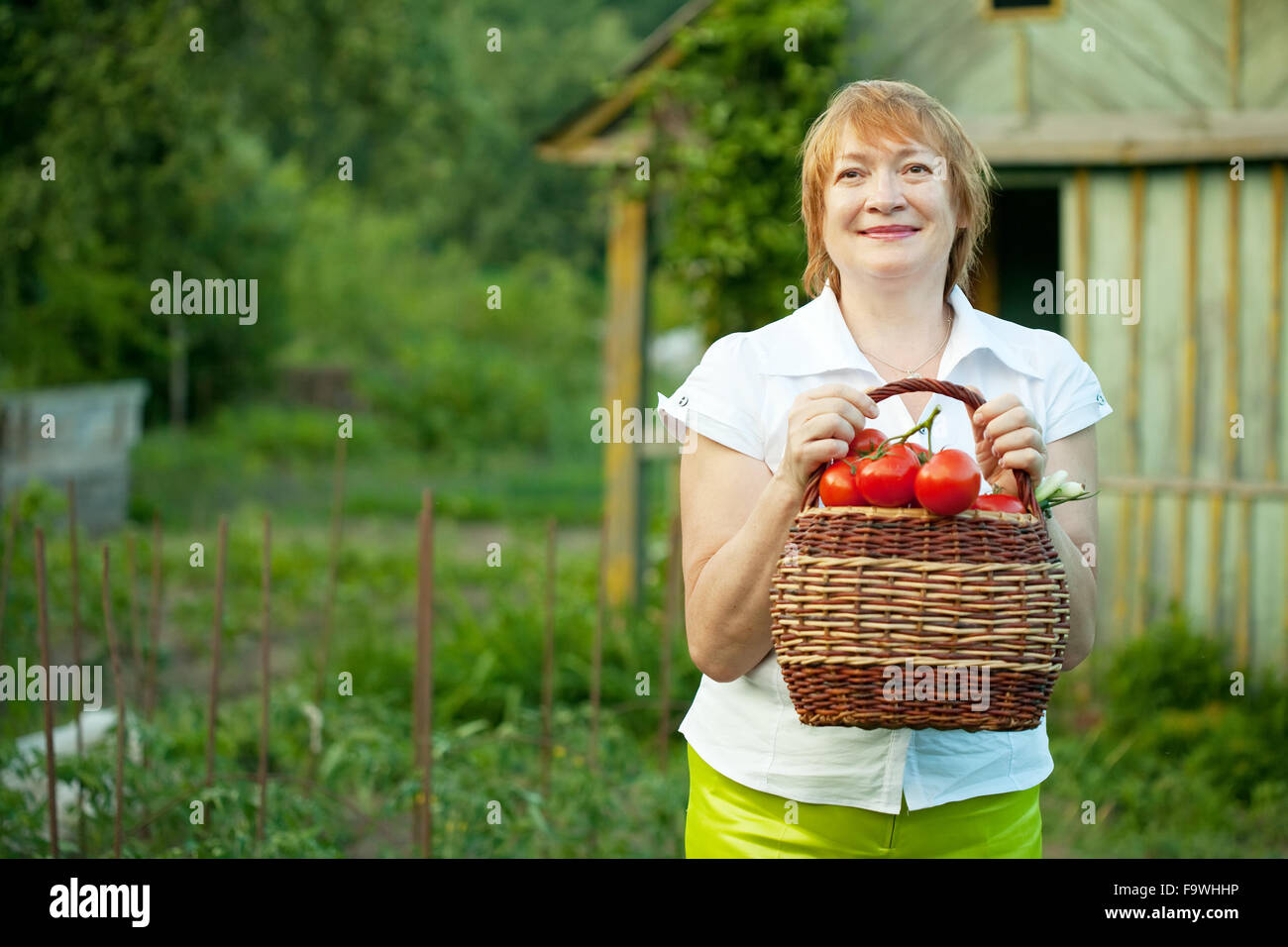 Happy mature woman with basket of harvested vegetables Stock Photo - Alamy