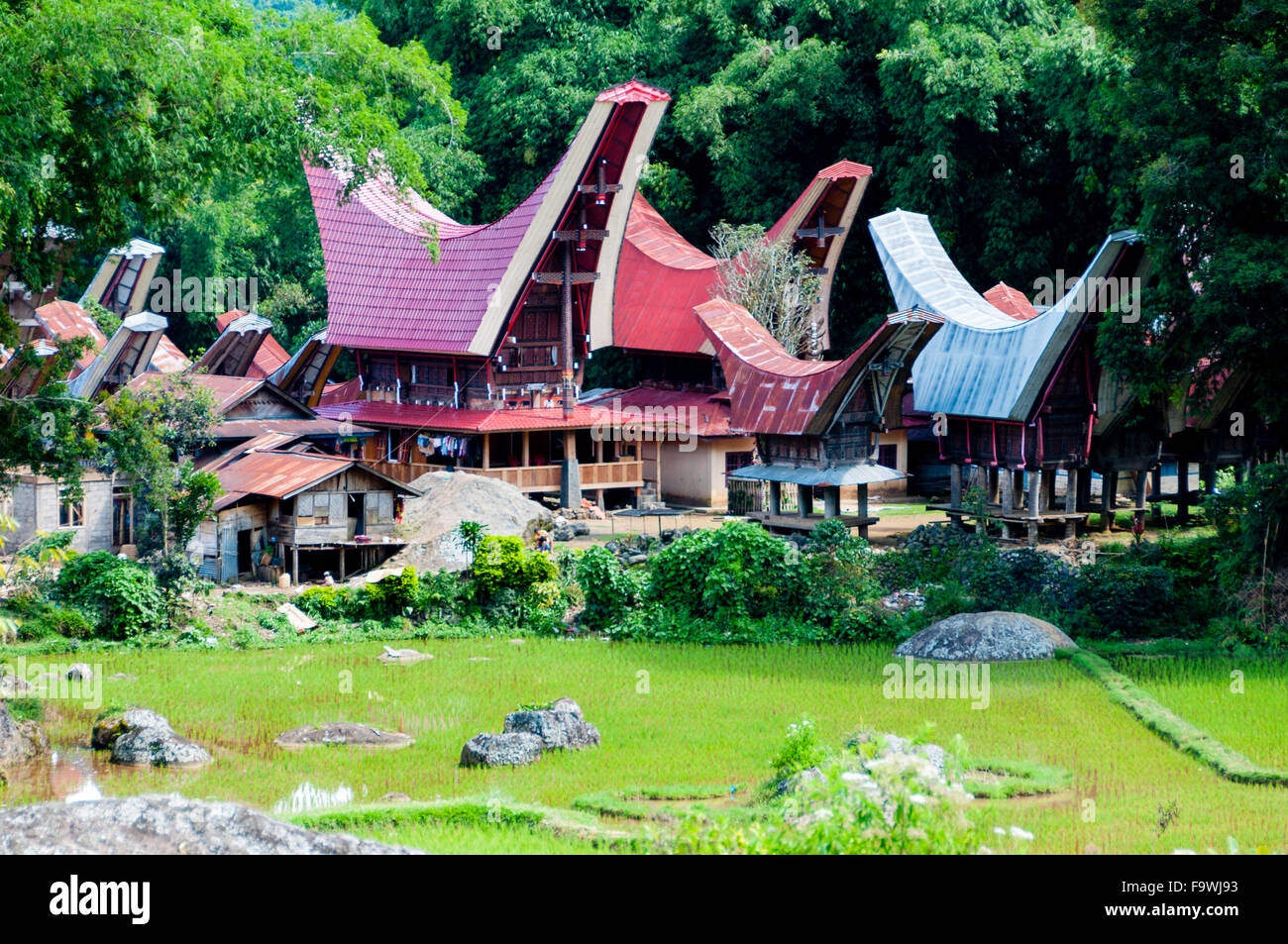 The Village with traditional and colorful houses of Tana Toraja Stock Photo