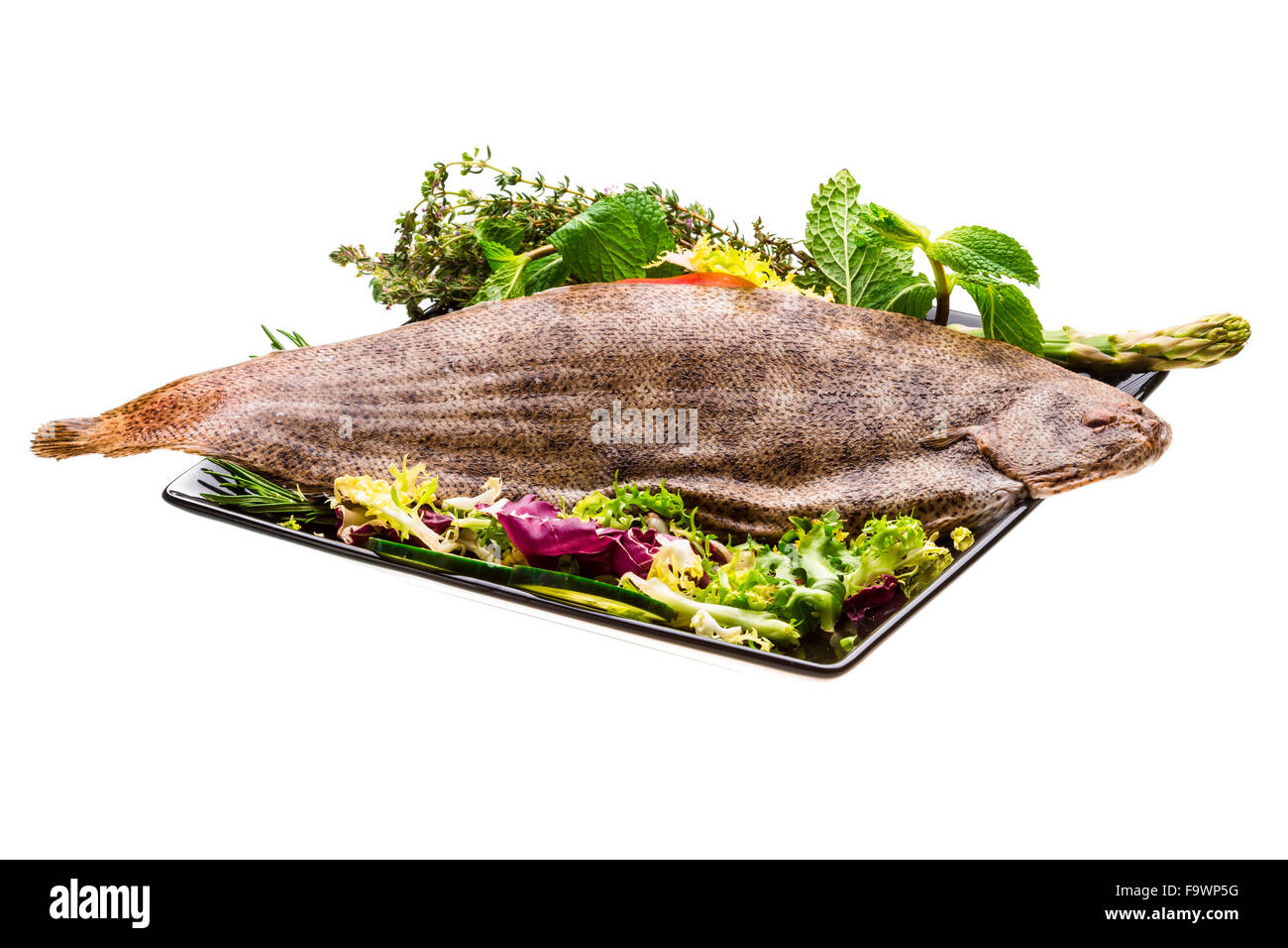 Fish Dover sole Stock Photo Alamy