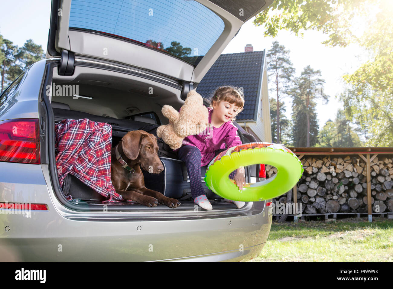 Girl in car boot with dog and teddy bear Stock Photo Alamy