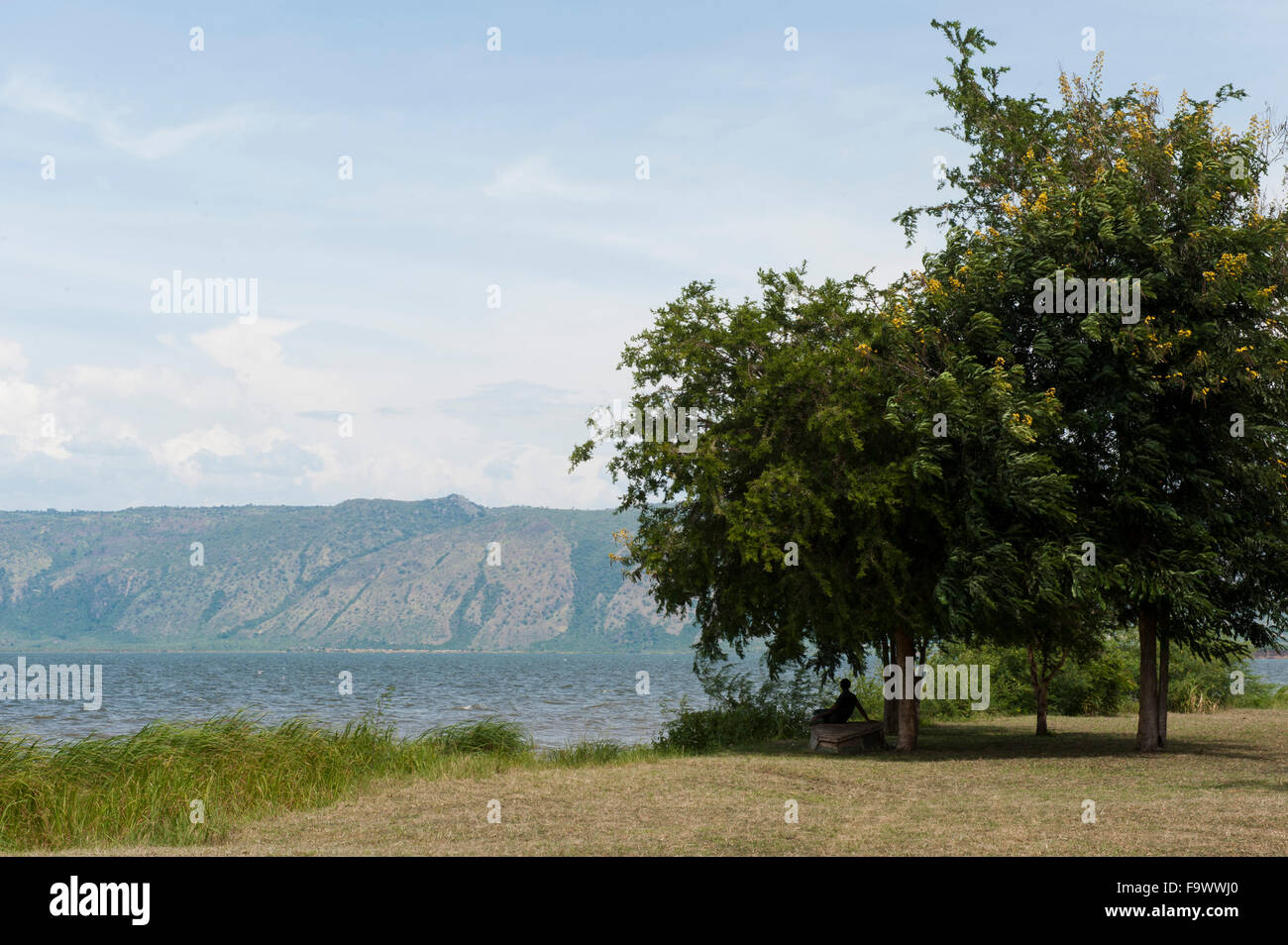 Lake Albert, Uganda Stock Photo 92152648 Alamy