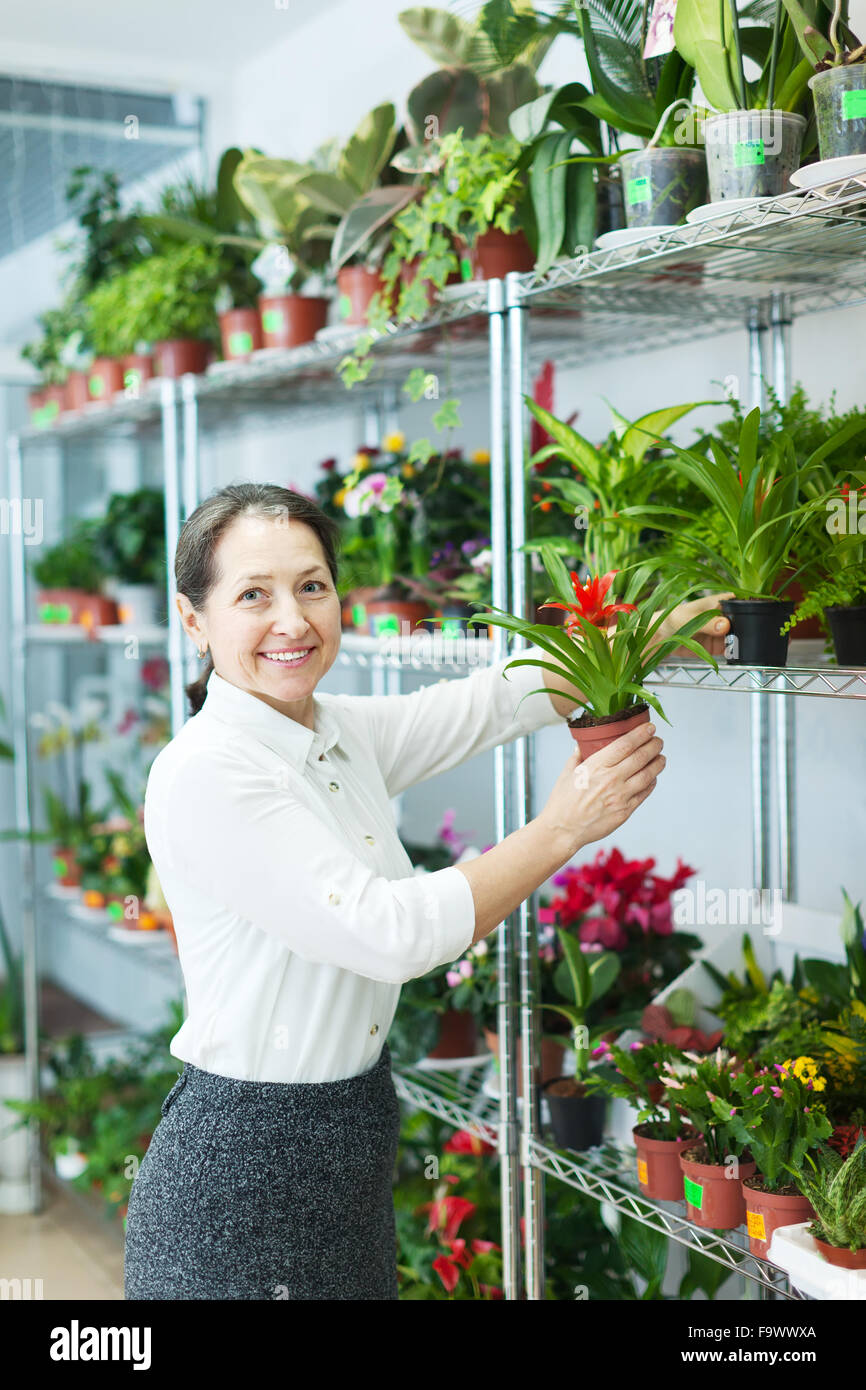 woman chooses Guzmania plant at flower shop Stock Photo