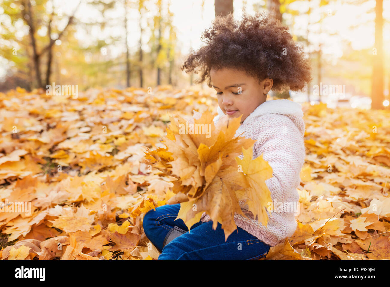 Little girl playing in autumn park Stock Photo - Alamy