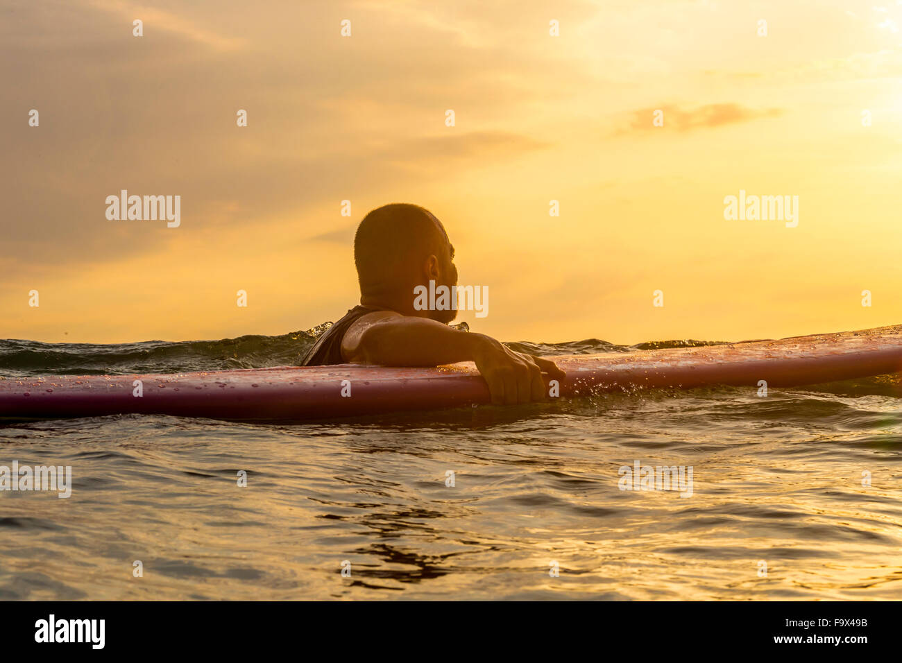 Surfer in water board hi-res stock photography and images - Alamy