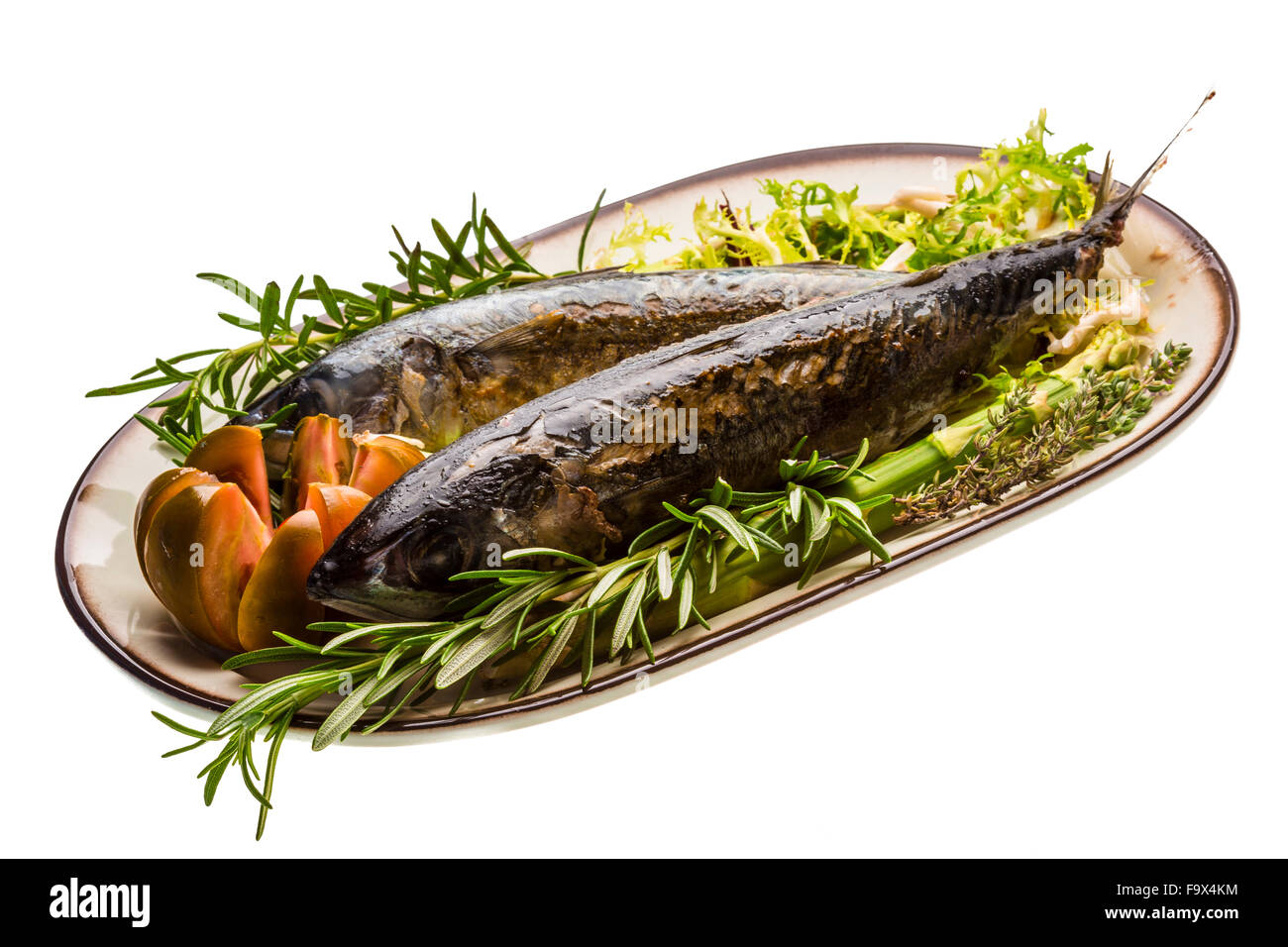 Spanish mackerel Cut Out Stock Images & Pictures Alamy