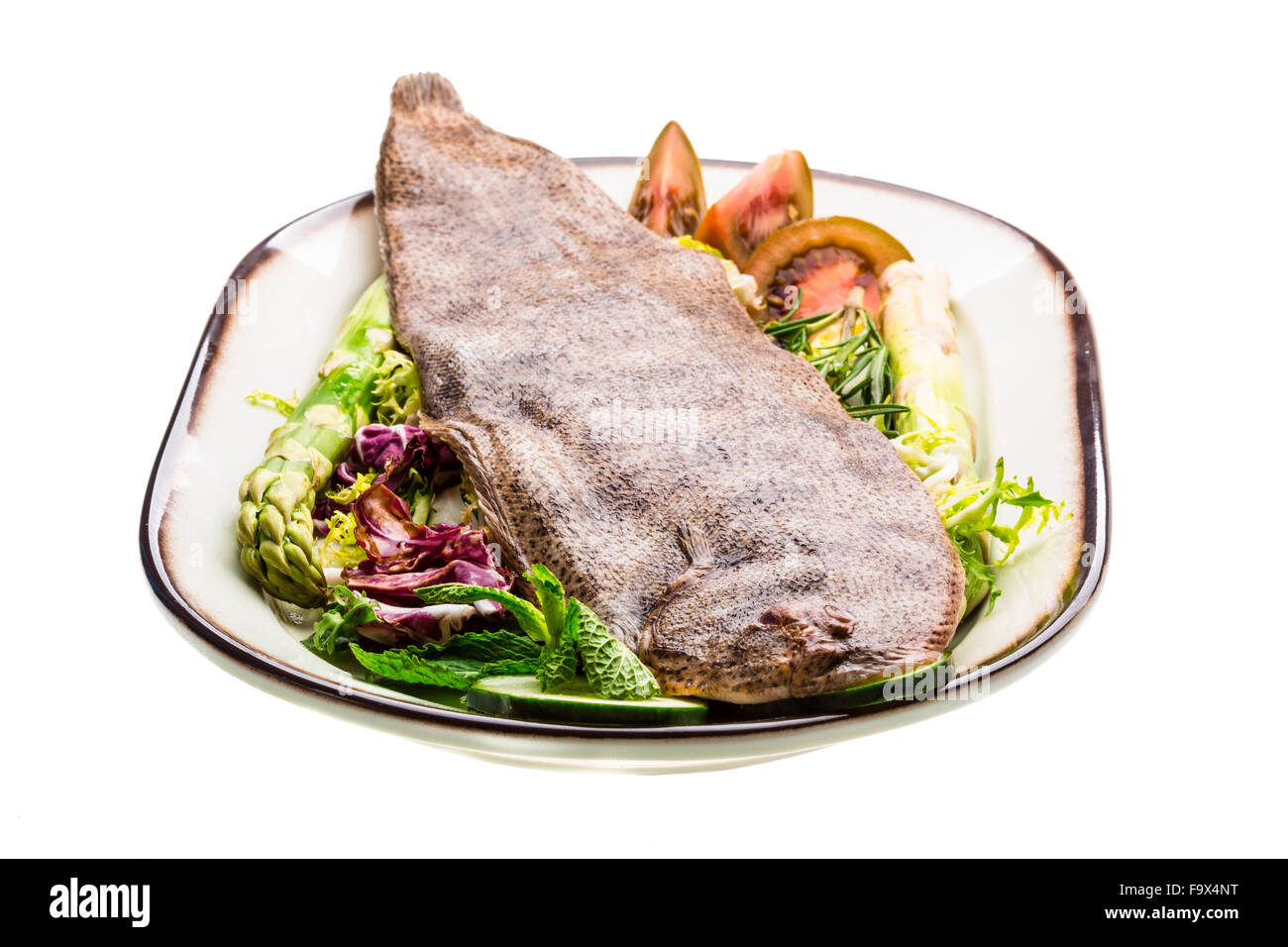 Fish Dover sole Stock Photo Alamy