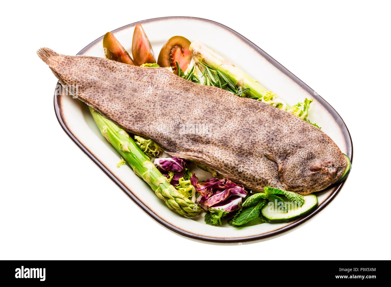 Fish Dover sole Stock Photo Alamy