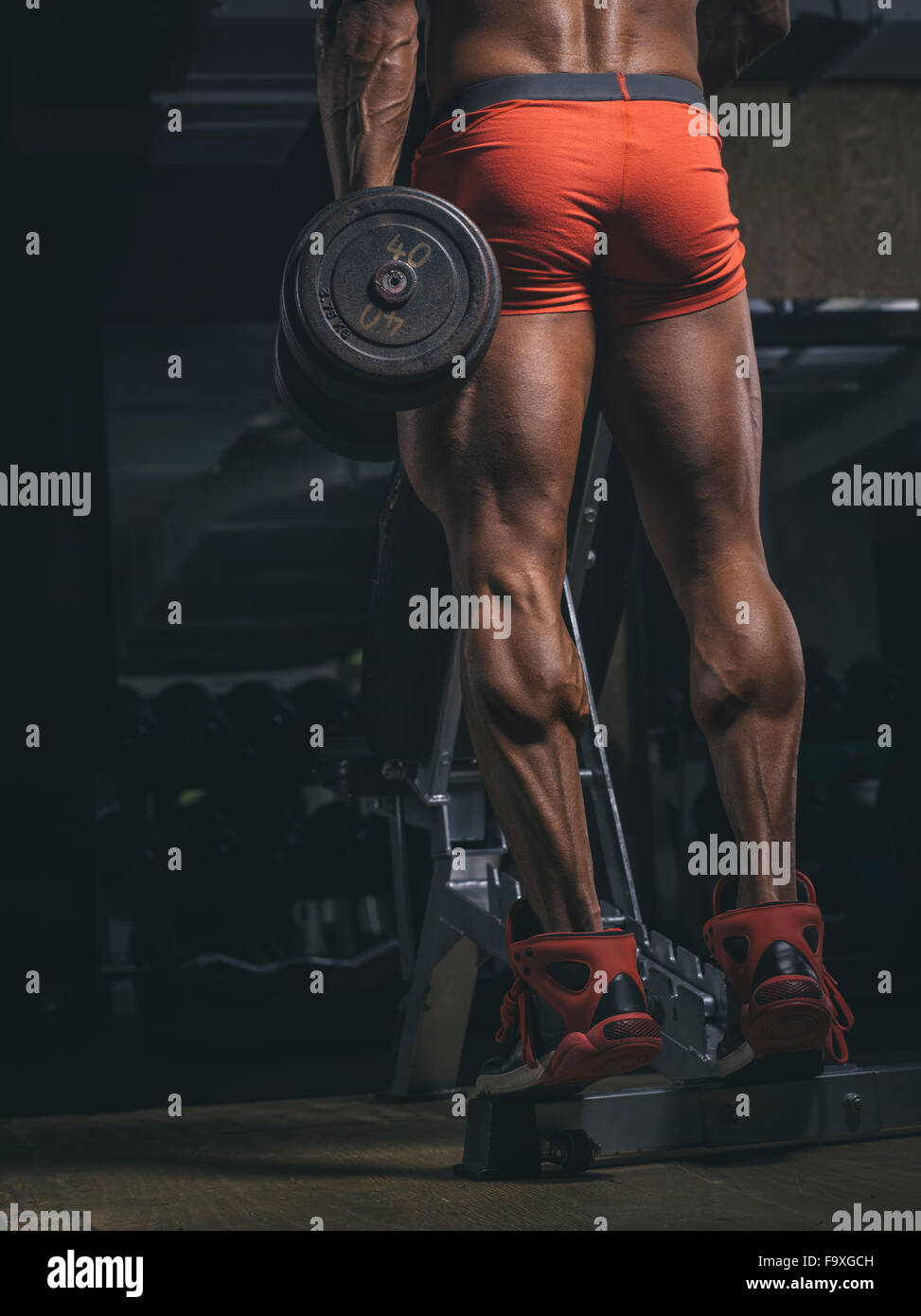 Bodybuilder training calves in gym Stock Photo Alamy