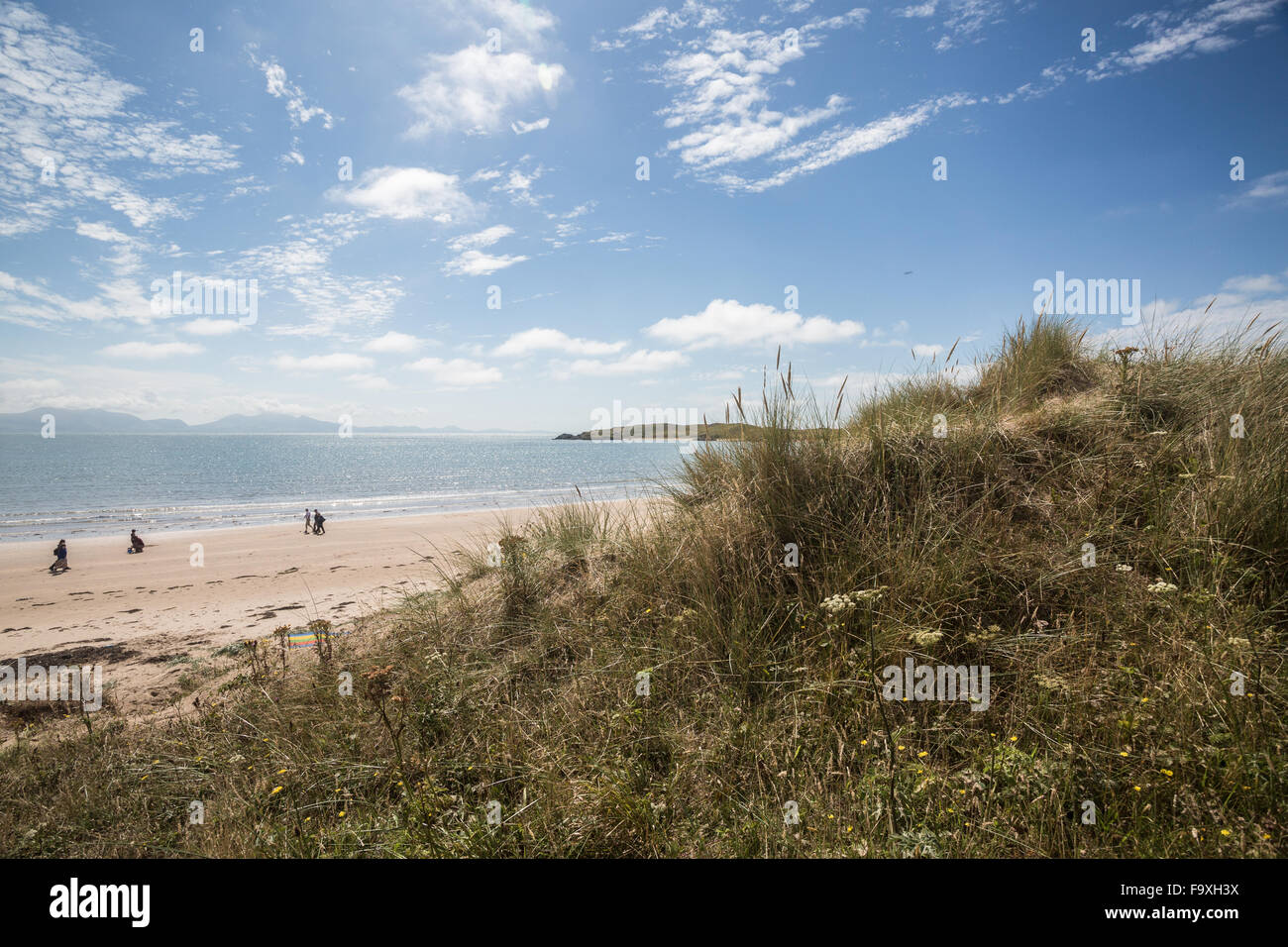 Newborough beach, newborough forest, Anglesey, North Wales, UK Stock