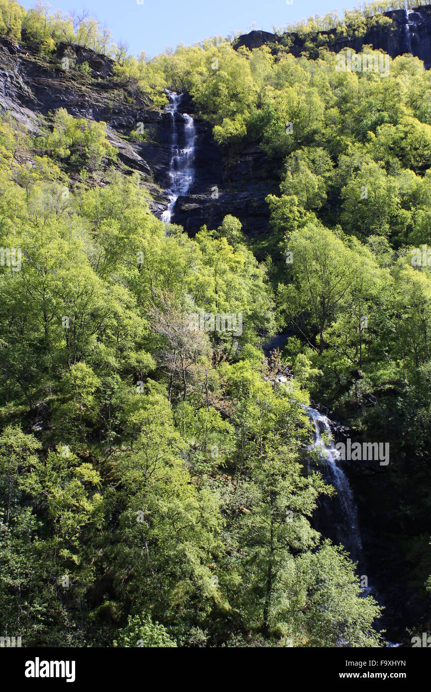A thin waterfall through trees as viewed from the Flamsbana ( Flam Railway ) in Flam Norway Stock Photo