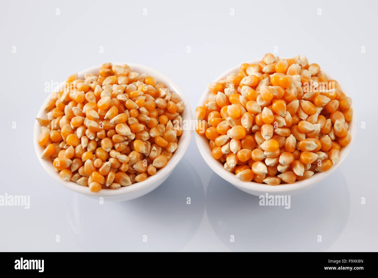 compare maize corn of different grade Stock Photo