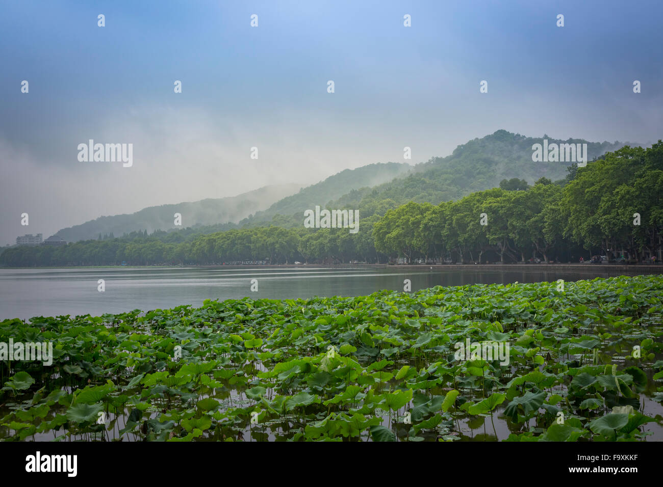 Rot Fog Rising Fog rising from water mountain hi-res stock photography and images - Alamy