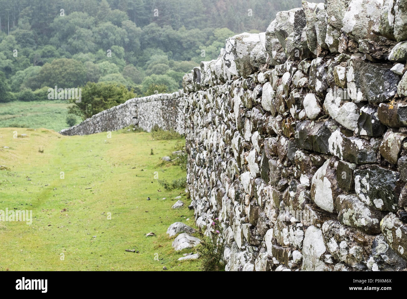 Dry stone wall, Drum, Snowdonia, North Wales, UK Stock Photo