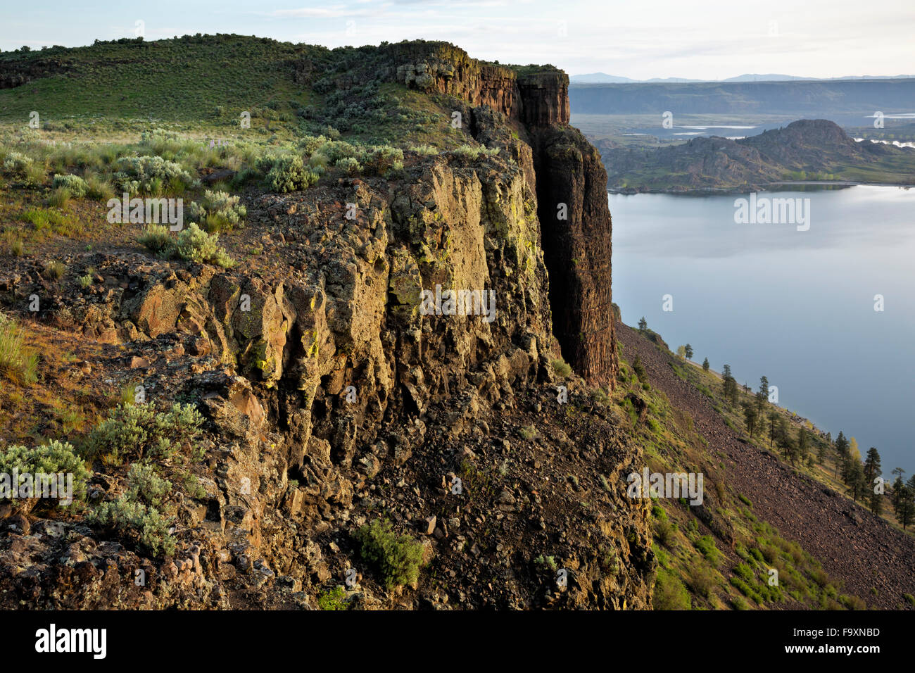 WASHINGTON Columnar basalt wall of Steamboat Rock in Steamboat Rock