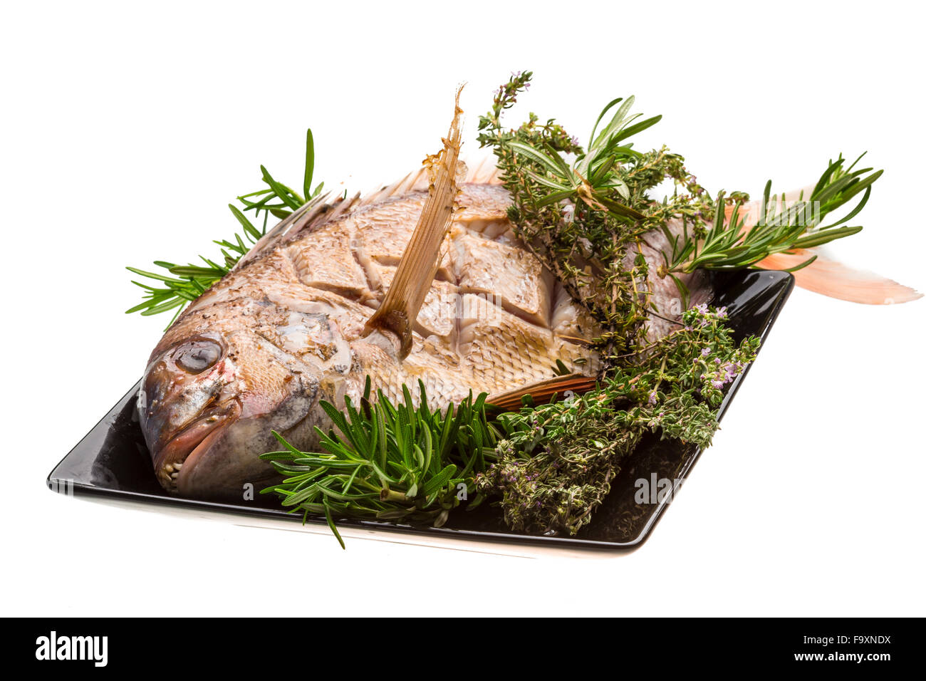 Grilled sea perch Stock Photo