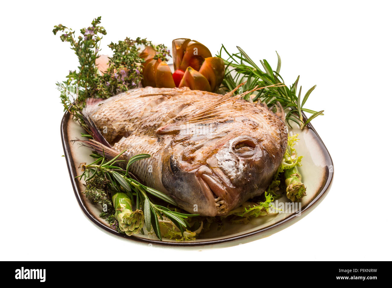 Grilled sea perch Stock Photo