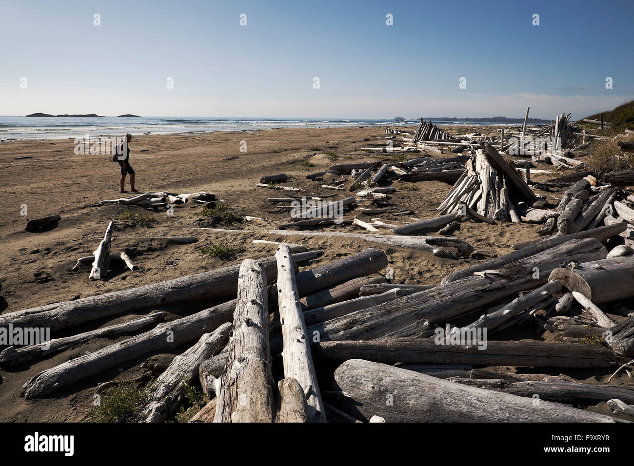 Canada, Vancouver Island, Longbeach, Person taking a walk at the beach Stock Photo