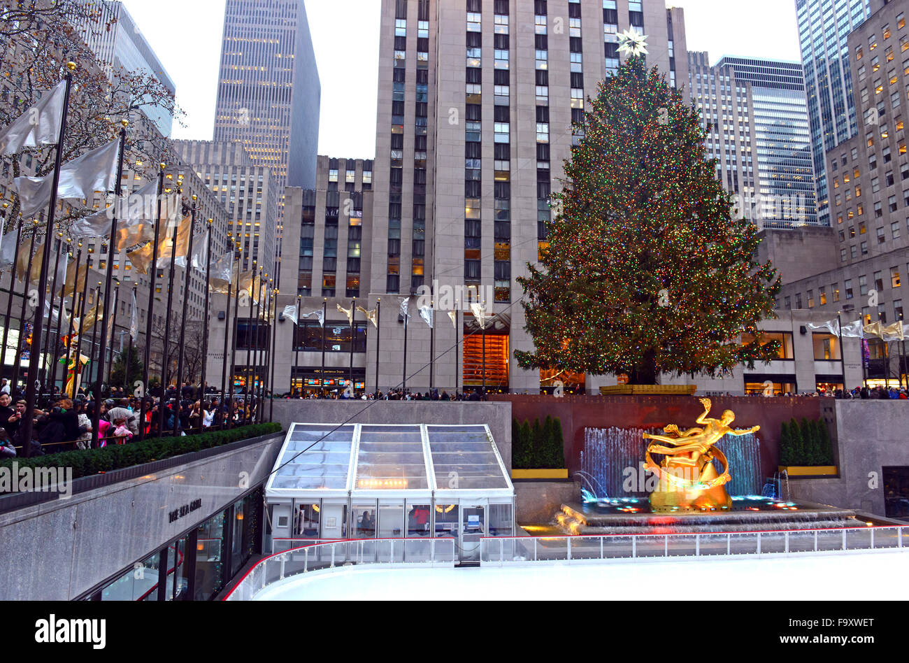 The Christmas Tree Rockefeller Center, Manhattan, New York City Stock