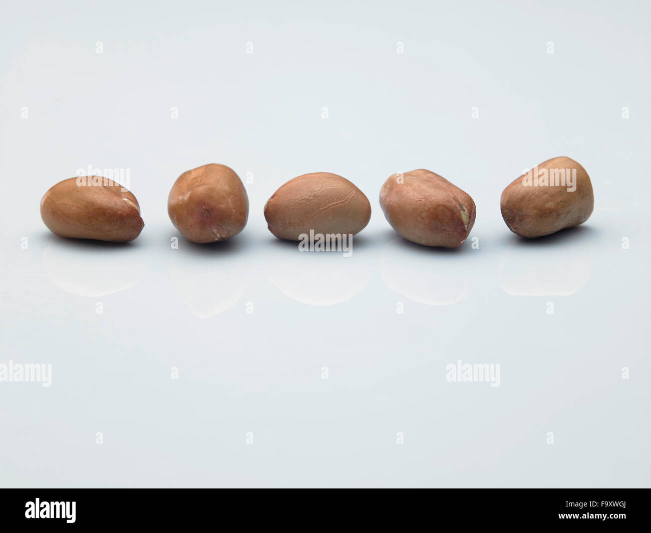 Peanuts in a row on white ground Stock Photo