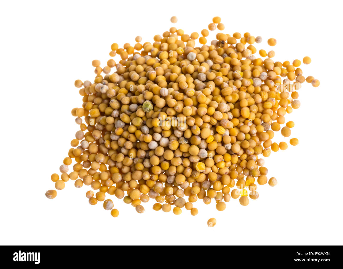 yellow mustard seeds Stock Photo Alamy