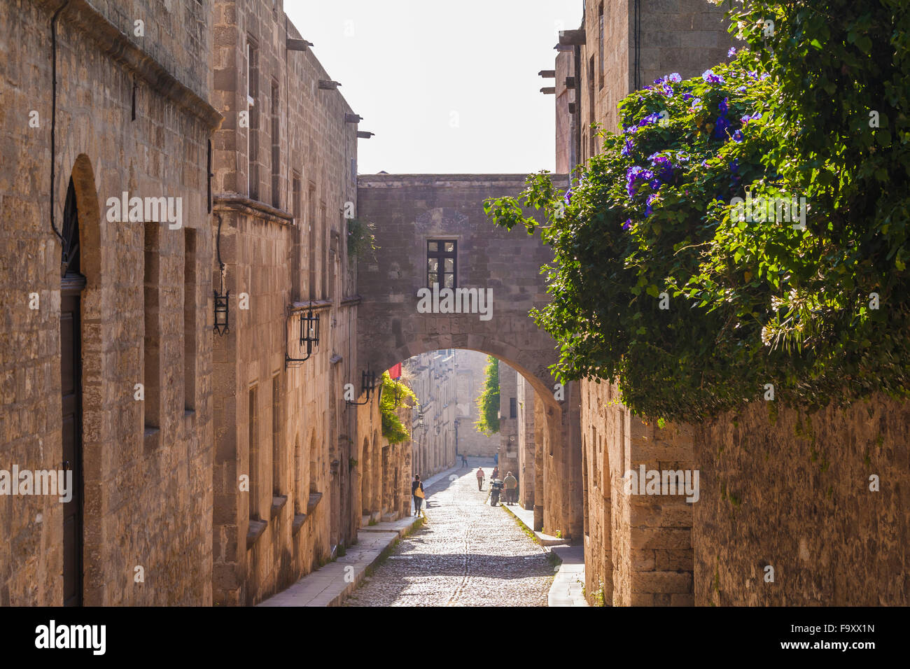 Odos ippoton hires stock photography and images Alamy