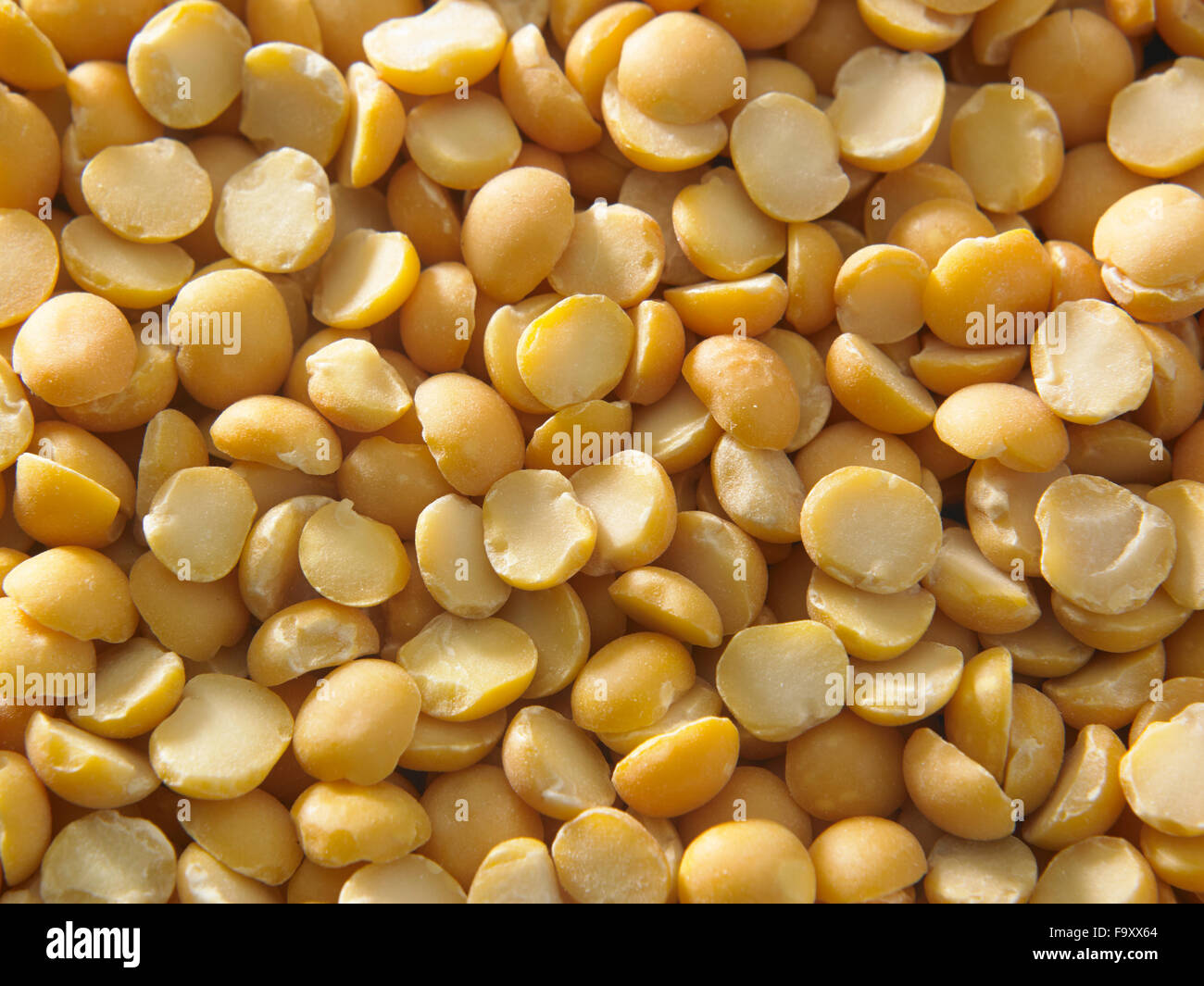 Channa dal, famous Indian legume also called yellow Pigeon peas Stock