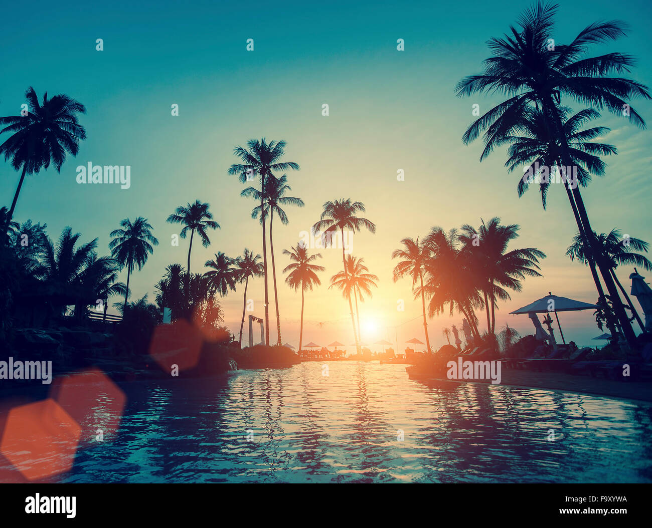 Tropical beach with palm trees during the awesome sunset Stock Photo ...