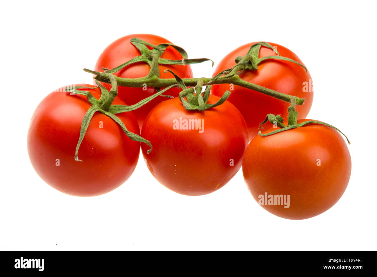 Red ripe tomatoes on the branch Stock Photo - Alamy
