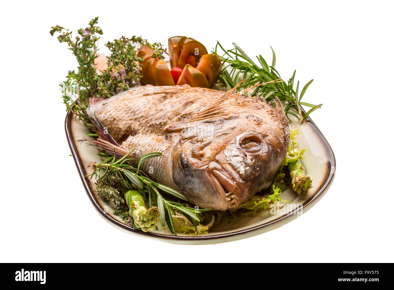 Grilled sea perch Stock Photo