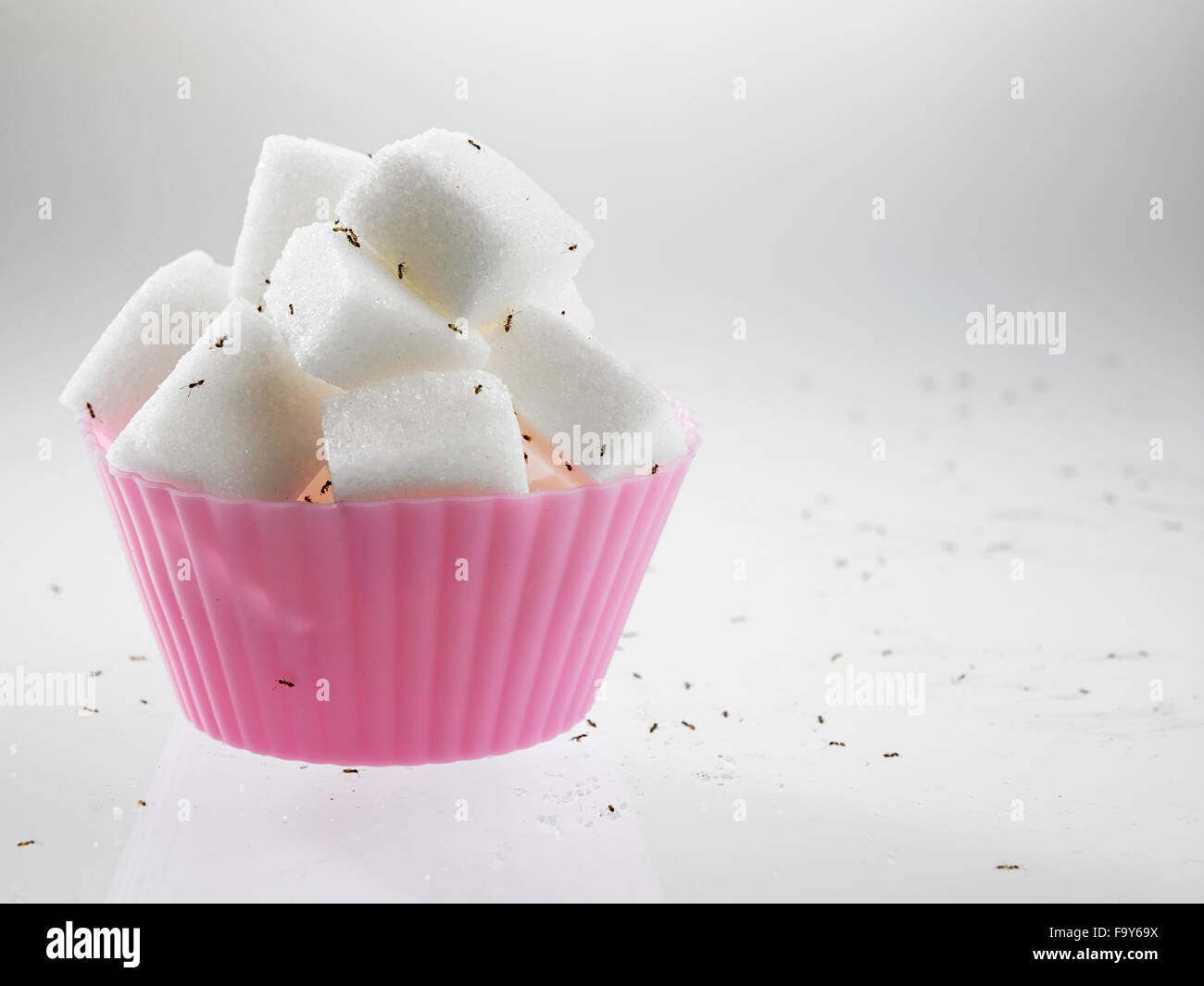 https://c8.alamy.com/comp/F9Y69X/cube-sugar-in-cup-cake-mold-surrounded-with-ants-F9Y69X.jpg