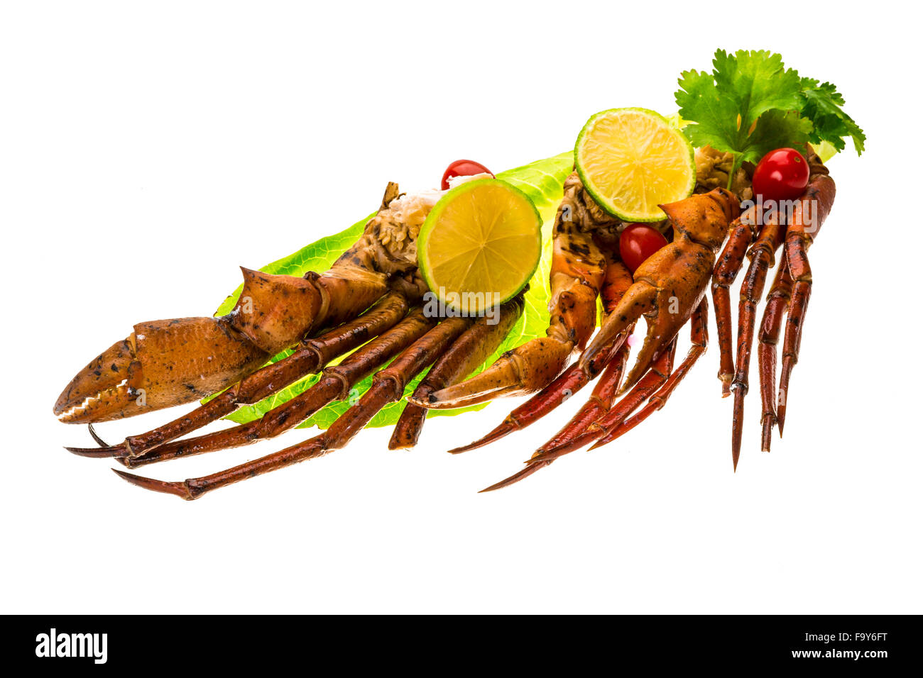 Crab legs studio macro shoot Stock Photo Alamy