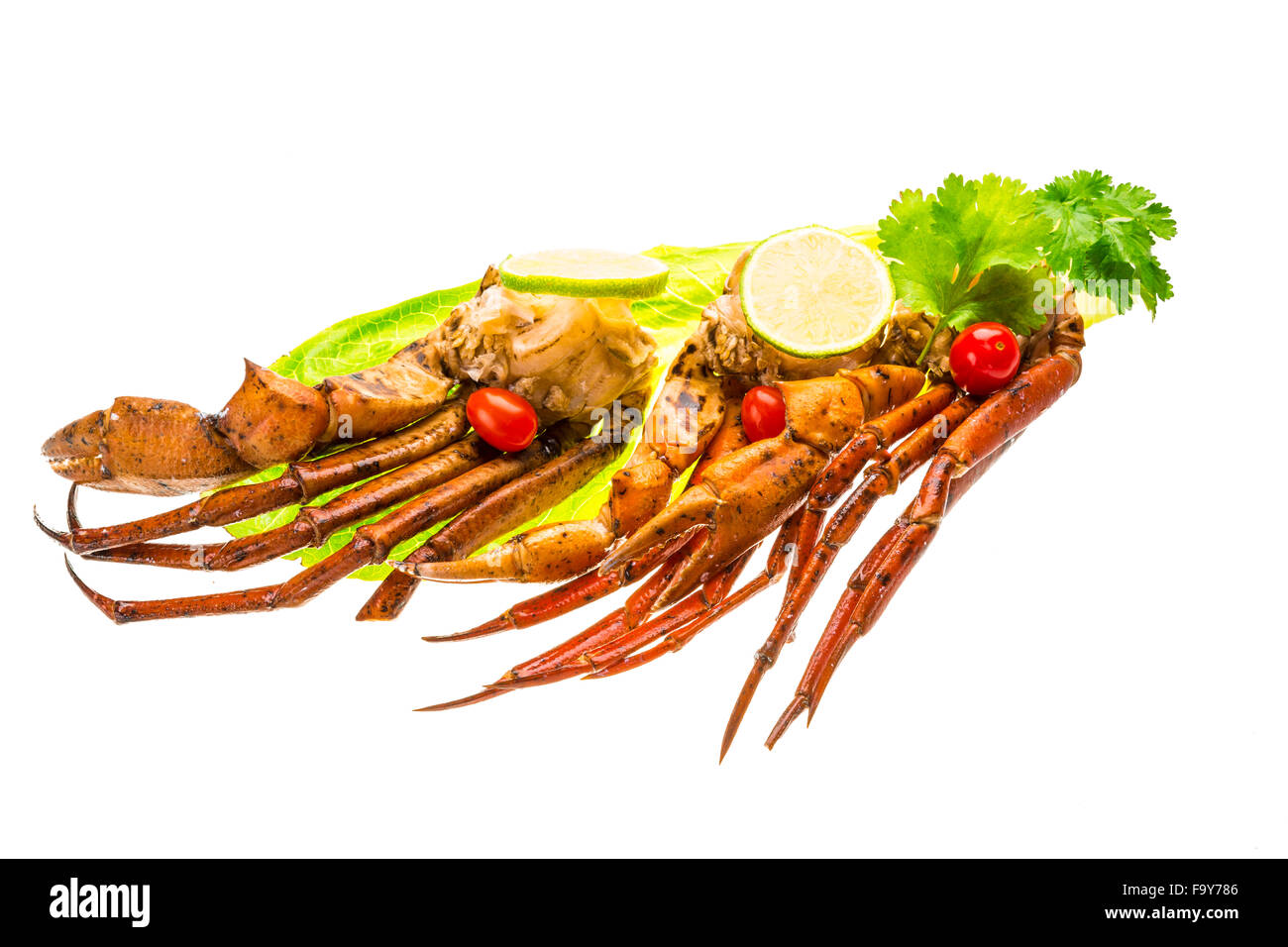 Crab legs studio macro shoot Stock Photo Alamy