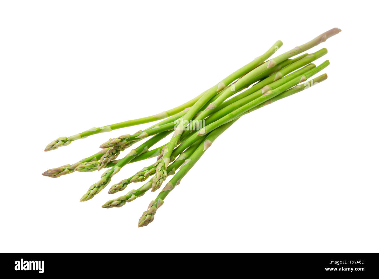 Baby asparagus isolated Stock Photo Alamy