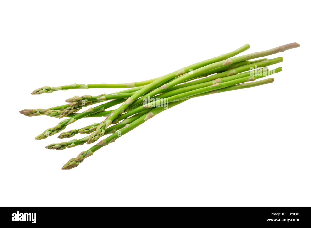 Baby asparagus isolated Stock Photo Alamy